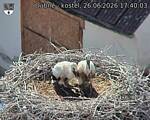 Capi_Dubne_20260626_174003.jpg
