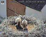 Capi_Dubne_20260626_180003.jpg