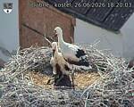 Capi_Dubne_20260626_182003.jpg
