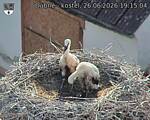 Capi_Dubne_20260626_191504.jpg