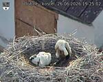 Capi_Dubne_20260626_192502.jpg
