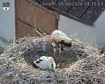 Capi_Dubne_20260626_193503.jpg