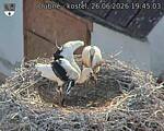 Capi_Dubne_20260626_194503.jpg