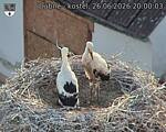 Capi_Dubne_20260626_200003.jpg