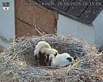 Capi_Dubne_20260626_201504.jpg