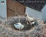 Capi_Dubne_20260626_202503.jpg