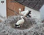 Capi_Dubne_20260626_211003.jpg