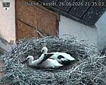 Capi_Dubne_20260626_213503.jpg