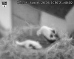 Capi_Dubne_20260626_214002.jpg