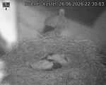 Capi_Dubne_20260626_223003.jpg