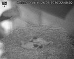 Capi_Dubne_20260626_224002.jpg