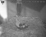 Capi_Dubne_20260627_005003.jpg