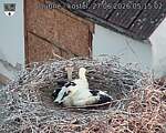 Capi_Dubne_20260627_051503.jpg