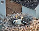 Capi_Dubne_20260627_053504.jpg