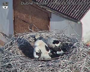 Capi_Dubne_20260627_070003.jpg (1350&nbsp;x&nbsp;1080)