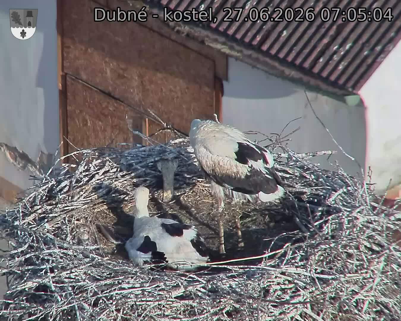 Capi_Dubne_20260627_070504.jpg (1350&nbsp;x&nbsp;1080)