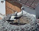 Capi_Dubne_20260627_131502.jpg