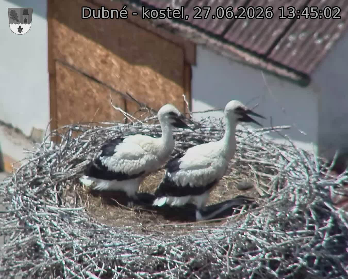 preload