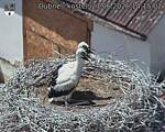 Capi_Dubne_20260627_141502.jpg
