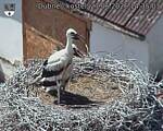 Capi_Dubne_20260627_143503.jpg