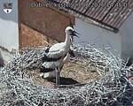 Capi_Dubne_20260627_144503.jpg