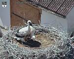 Capi_Dubne_20260627_151503.jpg