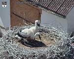 Capi_Dubne_20260627_152003.jpg