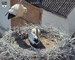 Capi_Dubne_20260627_170004.jpg