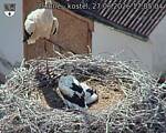 Capi_Dubne_20260627_170504.jpg