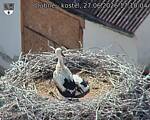 Capi_Dubne_20260627_171004.jpg