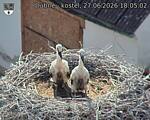 Capi_Dubne_20260627_180502.jpg