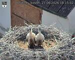 Capi_Dubne_20260627_181502.jpg