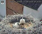 Capi_Dubne_20260627_182003.jpg
