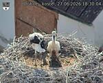 Capi_Dubne_20260627_183004.jpg