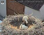 Capi_Dubne_20260627_190502.jpg
