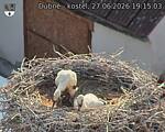 Capi_Dubne_20260627_191503.jpg
