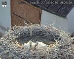 Capi_Dubne_20260627_192504.jpg