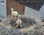 Capi_Dubne_20260627_194002.jpg