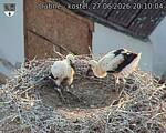 Capi_Dubne_20260627_201004.jpg