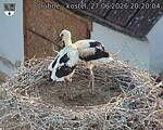 Capi_Dubne_20260627_202004.jpg
