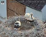 Capi_Dubne_20260627_202502.jpg