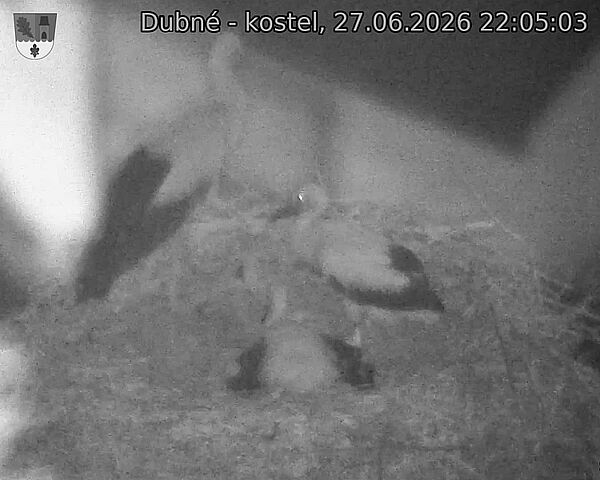 preload