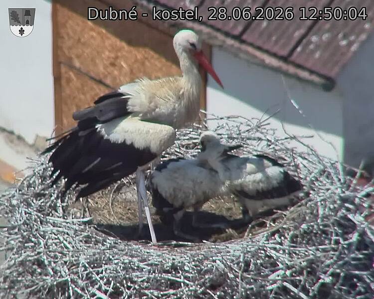 preload