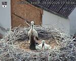 Capi_Dubne_20260628_175004.jpg