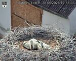 Capi_Dubne_20260628_175504.jpg