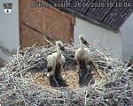 Capi_Dubne_20260628_181004.jpg
