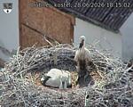 Capi_Dubne_20260628_181502.jpg