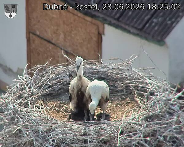 preload