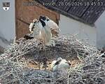Capi_Dubne_20260628_184503.jpg