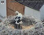 Capi_Dubne_20260628_185502.jpg